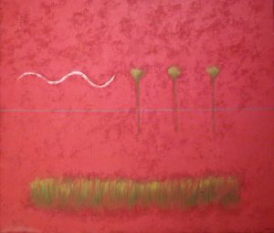 CARNAUBAS