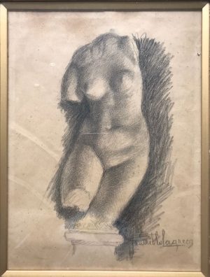 VENUS