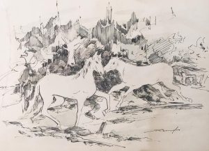 CAVALOS