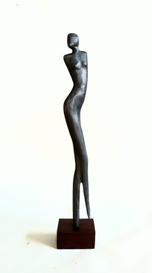 VÊNUS 12