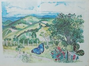 BORBOLETA AZUL.